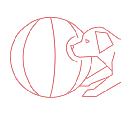 Icone Treibball