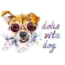 Logo Dolcevita Dog_Respets