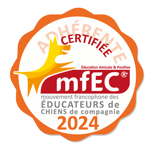 Logo MFEC 2024 Respets