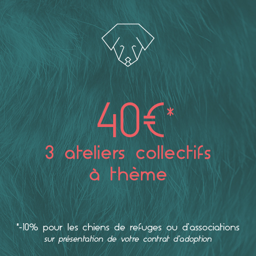 tarif 3 ateliers 40€