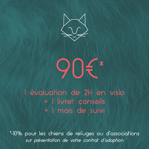 Tarif Chat Visio 90€_Respets