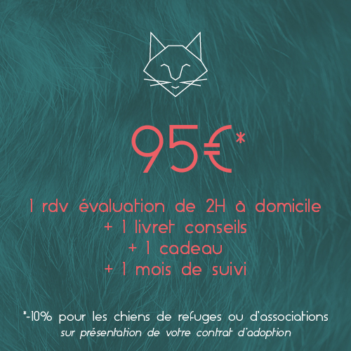 Tarif Chat 95€_Respets