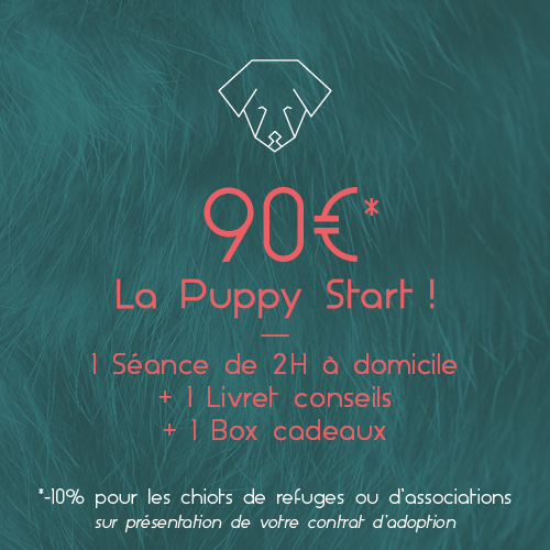 90€ le Puppy Start_respets