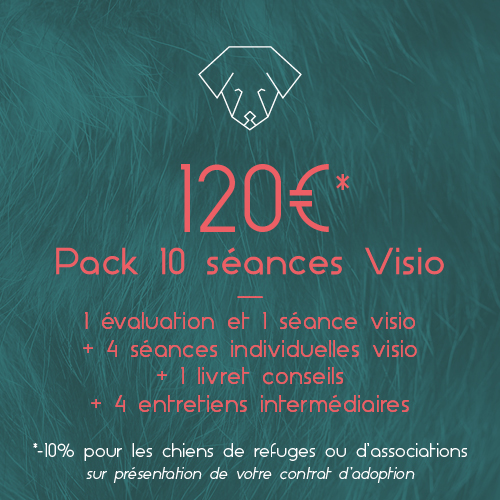 Tarif 10 séances visio 120€_Respets