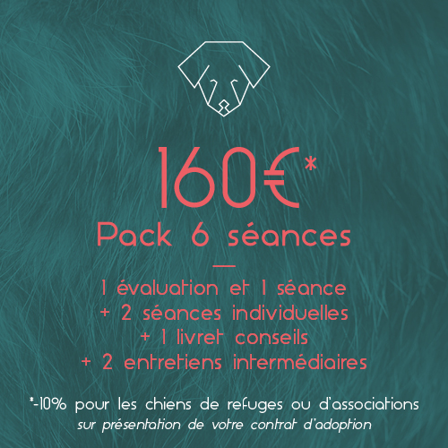 Tarif 6 séances 160€_Respets